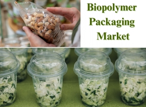 Biopolymer Packaging Industry Outlook: Market Demand Trends 2032