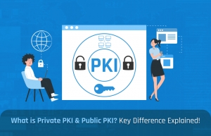 Private vs. Public PKI