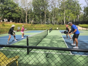 Pickleball Court vs Tennis Court: Why Your Pickleball Vacation Needs the Right Court