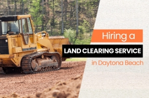 What to Expect When Hiring a Land Clearing Service in Daytona Beach