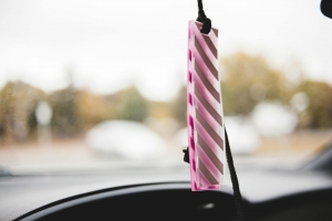 Green Choice: Eco-Friendly Air Fresheners for Your Car