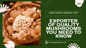 India’s Fungi Frontier: Rising as a Global Leader in Mushroom Exports