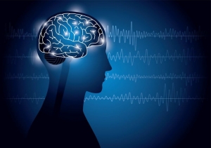 Mental Health Software Market Is Anticipated to Witness High Growth Owing to Digital Therapeutics Integration