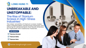 Unbreakable and Unstoppable: The Rise of Titanium Screws in High-Stress Industries!