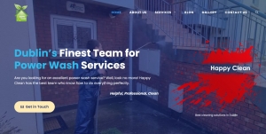 Roof Cleaning in Dublin Needs a Professional Team, Otherwise...