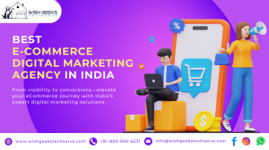 India’s Best Ecommerce Social Media Marketing Services to Drive ROI –Wish Geeks Techserve