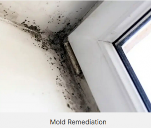 Water Damage Repair, Mold Remediation, and Fire Damage Restoration: Comprehensive Solutions!