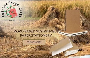 What are the Environmental Impacts of Traditional Office Stationery Production?