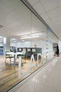 Bold & Creative Window Graphics – Indianapolis Design Pros