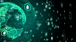 Sustainability as a Brand Advantage in 2025: A Strategic Imperative