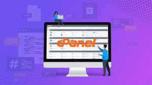 10easy steps toset up cPanel hosting for your website