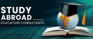 What to Expect from a Study Abroad Consultant: A Comprehensive Guide