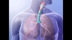Bronchial Spasm Market Anticipated to Grow Owing to Rising Asthma Prevalence