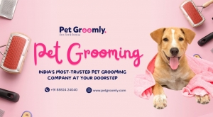 Pet Grooming in Hyderabad: Give Your Pets the Royal Treatment with Pet Groomly