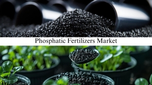 Phosphatic Fertilizers Market Size, Share, Key Market Insights and Forecast Through 2026