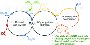 Dimethyl Carbonate Market and Electric Vehicles: Role in Lithium-Ion Battery Electrolytes