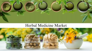 Herbal Medicine Market Size, Share, Long-Term Forecast and Industry Trends by 2032