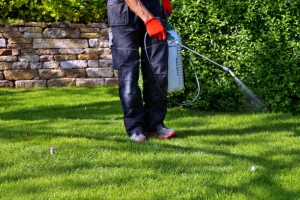 The Best Lawncare Services for Your Garden