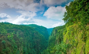 Explore the Queen of Satpura with an Unforgettable Pachmarhi Tour Package