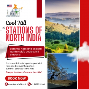 Top Budget Wildlife Safari Packages in India for American Tourists