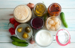 Precision Fermentation Ingredients Market will grow fastest owing to sustainable protein demand