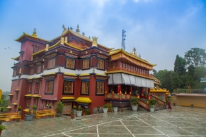 Darjeeling Tour Packages from Delhi: A Complete Travel Guide