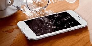 Water-Damaged iPhone? Here’s How to Rescue It and Avoid Future Mishaps