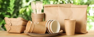 Biodegradable Plastics Market Poised for Growth from Environmental Regulations