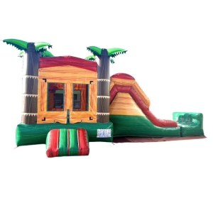 Ultimate Backyard Fun: Rent a Bounce House and Bounce House with Water Slide for Your Next Event