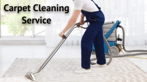 Professional Deep Carpet Cleaning Company in Kirkland, WA