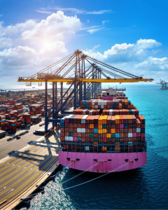 Shipping Company in UAE: How to Find Reliable, Affordable Logistics in 2025
