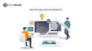 Exploring the Rise of Software Development Companies in Georgia and Illinois