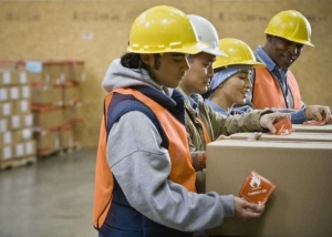 Why Construction Sites Are Prioritising Workers With Dogging Licences in 2025