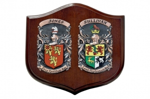What Do The Colors And Shapes In Irish Family Crests Represent