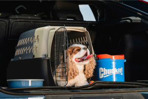 Dog-Friendly Brewery and Restaurant Etiquette