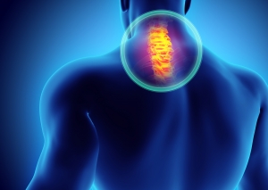 Best Spinal Injury Rehab Centre in Delhi: What You Need to Know