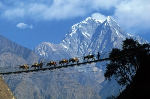 Explore the Himalayas with the Best Nepal Tour Packages for Families