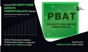 Polybutylene Adipate Terephthalate Industry: Key Applications, Challenges, and Market Projections, 2031