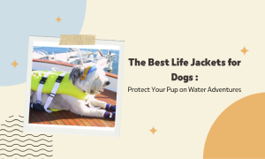 Life Jackets for Dogs: Essential Safety Gear for Your Pup's Water Adventures
