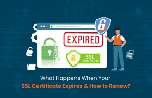 SSL Certificate Expiry
