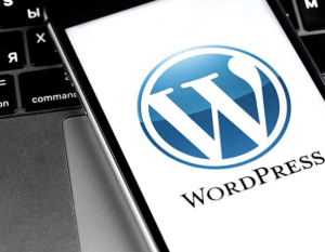 One-on-One WordPress Training in St. Augustine: What to Expect