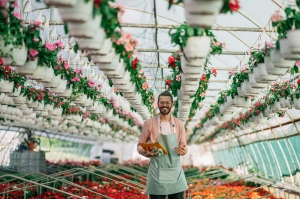 Exploring the Benefits of THCA Flower Wholesale: A Comprehensive Guide for Retailers