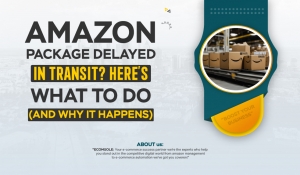 Amazon Package Delayed in Transit”? Here’s What to Do (and Why It Happens).