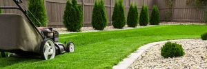The Ultimate Guide to Lawn Care in Towson, MD