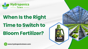 When Is the Right Time to Switch to Bloom Fertilizer?