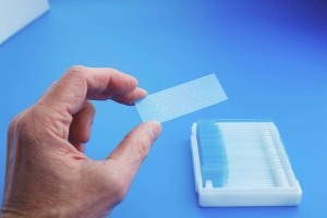 U.S. Biochip Market is Estimated to Witness Growth Owing to Nanotech Platforms