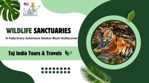 Wildlife Sanctuaries in India Every Adventure Seeker Must Visit