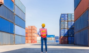 Southampton's Leading Transport Companies: A Complete Guide