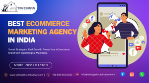 Best Ecommerce Digital Marketing Agency in India—Wish Geeks Techserve