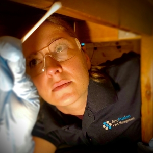 Reliable Pest Control Services in Glen Ridge, NJ – EcoFusion Pest Control